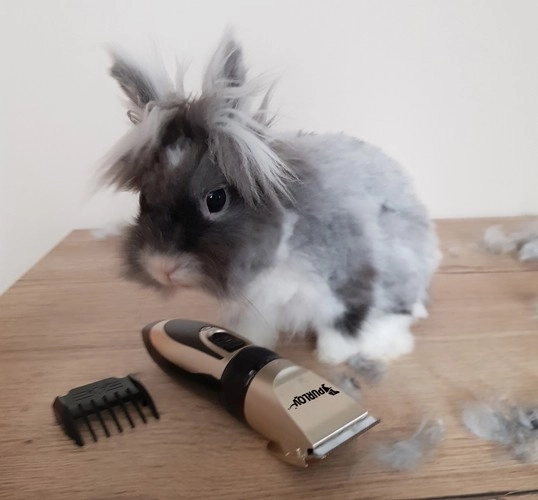 Trimmer voor honden - set