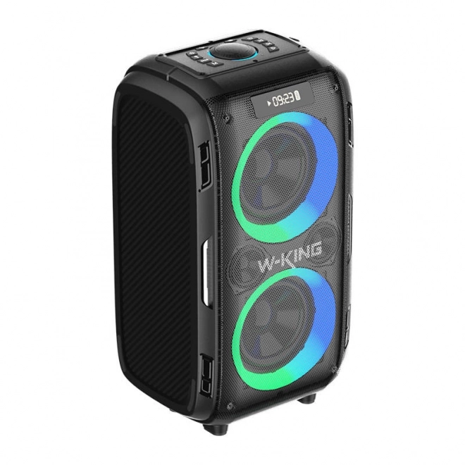 Draadloze Bluetooth-luidspreker W-KING T9 Pro 120W (zwart)