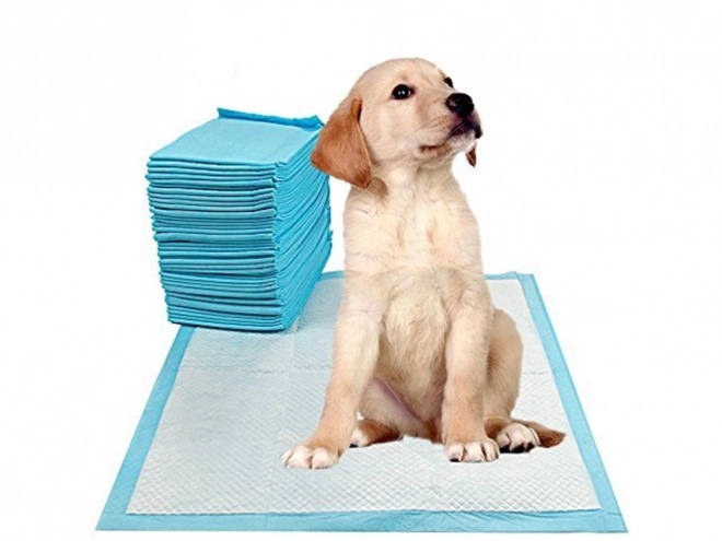 Absorberende pads voor honden 60x60 cm