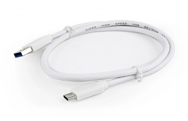 USB 3.0 Kabel C AM naar CM 1m wit