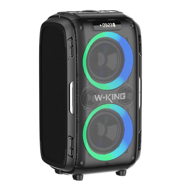 Draadloze Bluetooth-luidspreker W-KING T9 Pro 120W (zwart)