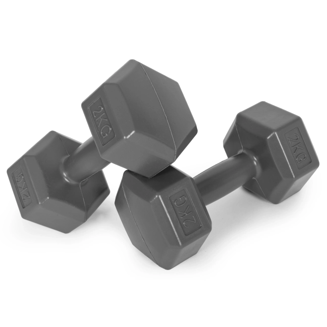 Hexagonale halters ModernHome 2x2 kg grijs