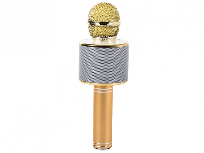 Draadloze bluetooth karaoke microfoon