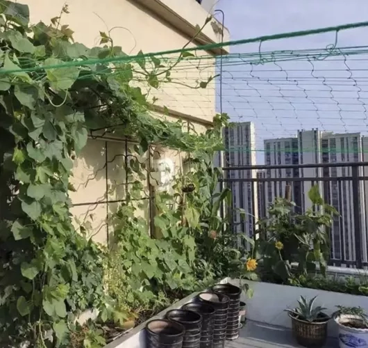Net - steun voor planten 2x10m Gardlov 23978