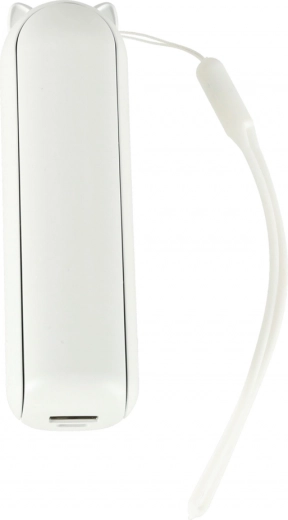 Snel en efficiënt opladen