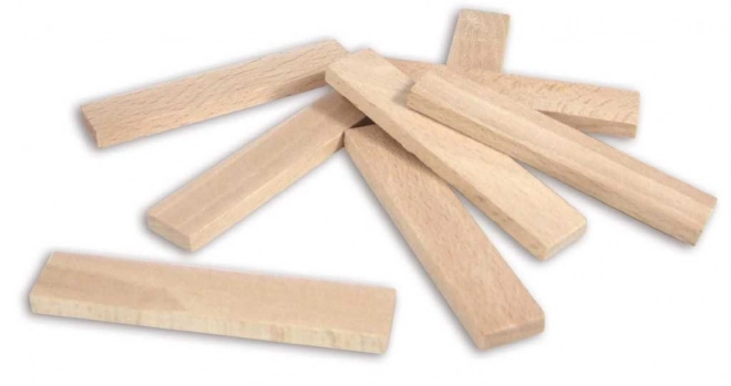 Houten bouwpakket Vilac Batibloc 200 stukken