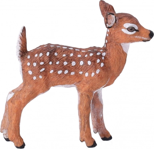 Ideaal om mee te spelen, te leren en te verzamelen