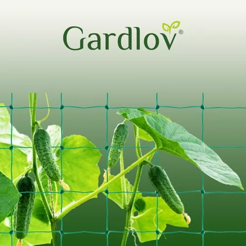 Rooster - steun voor planten 2x20m Gardlov 23980