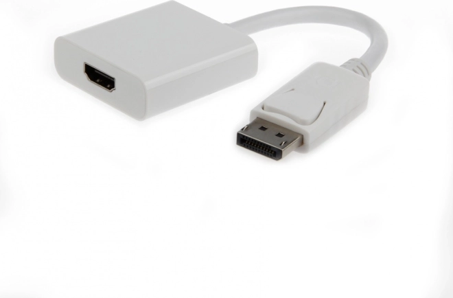 DisplayPort-naar-HDMI-adapter 10 cm