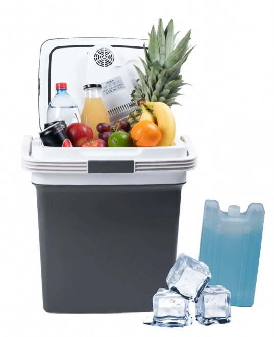 Draagbare autokoelkast met verwarming, 29L, grafietkleurig