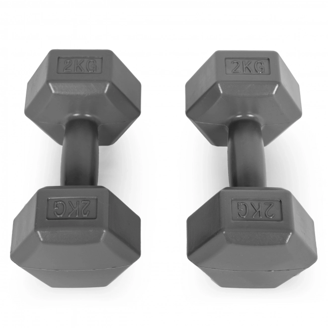 Hexagonale halters ModernHome 2x2 kg grijs