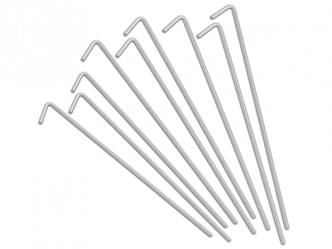 Stalen Tentharingen 24 cm 10 stuks