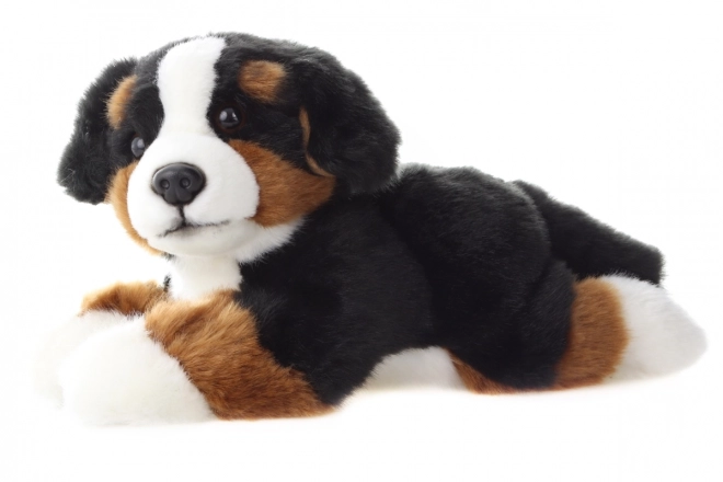 Pluche Berner Sennenhond 25 cm