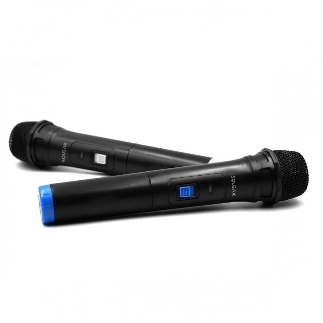 Set karaoke-microfoons VocalDuo met 30m bereik