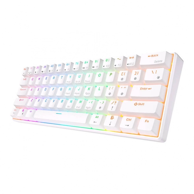 Mechanisch Toetsenbord RGB Royal Kludge RK61