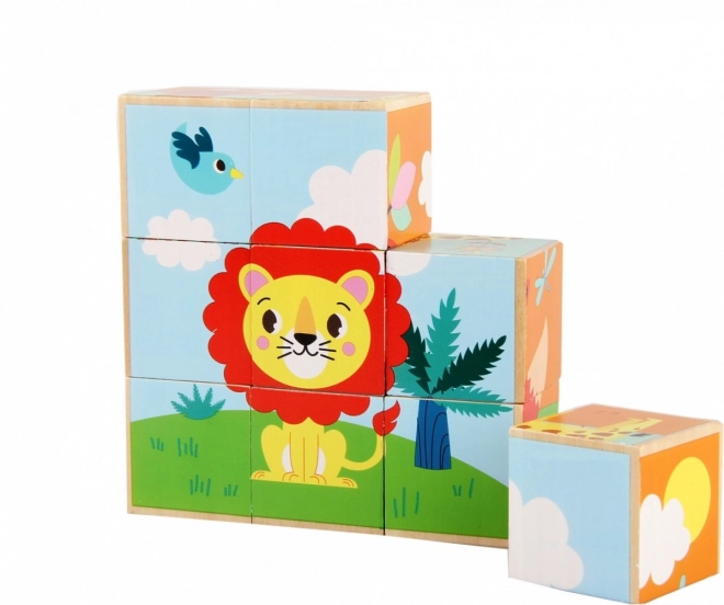 Houten Blokken Dieren Wild Gekleurd