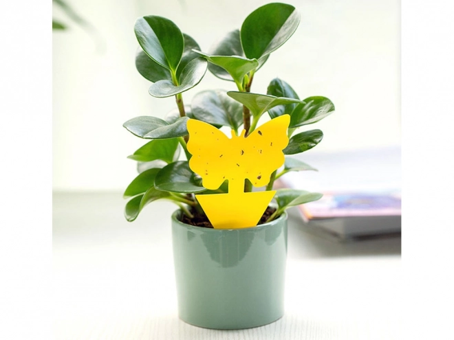 Gele kleefstickers voor plantenpotten