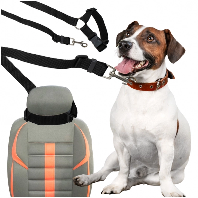 Veiligheidsgordel voor de auto voor hond en kat