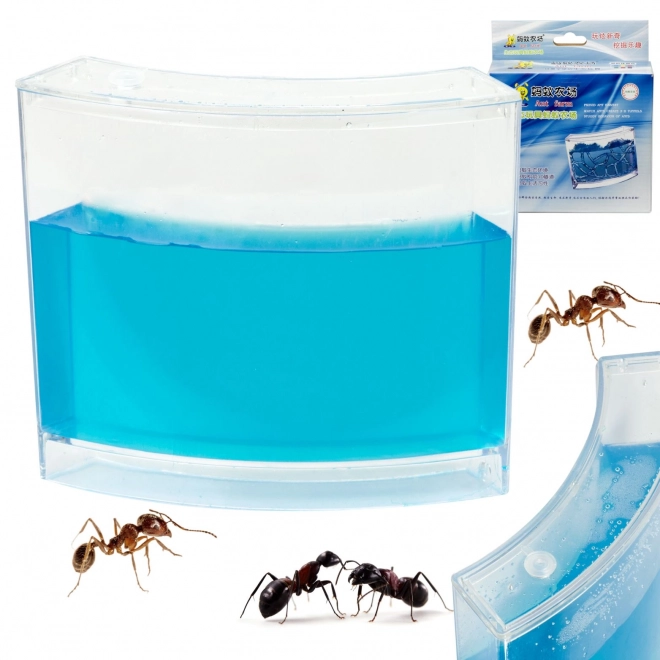 Educatief gelaquarium voor mieren