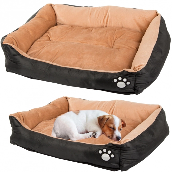 zwart hondenbed met comfortabel kussen