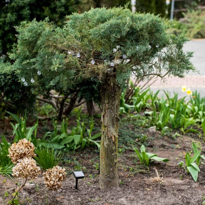 Zonnelampen voor in de tuin LED lichtjes ronde vorm 7m warm wit