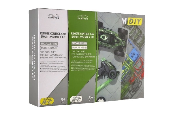 Auto RC buggy kunststof 22cm bouwset 24MHz op batterijen groen in doos 34x25x7cm
