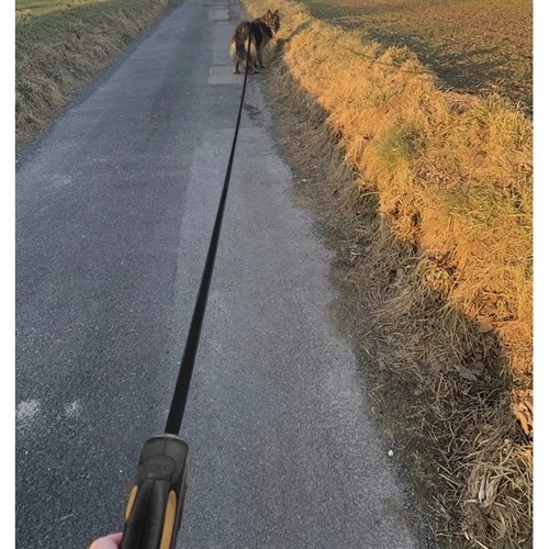 Automatische hondenriem 8m/50kg