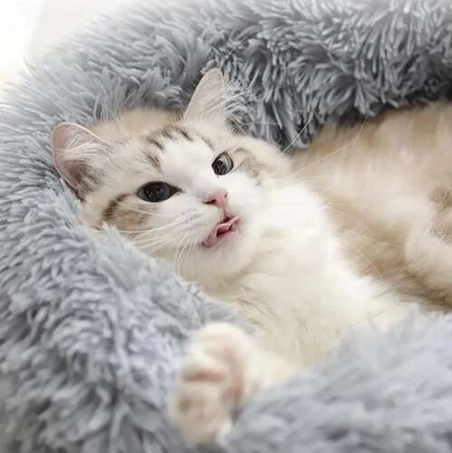 Zachte warme mand voor hond of kat