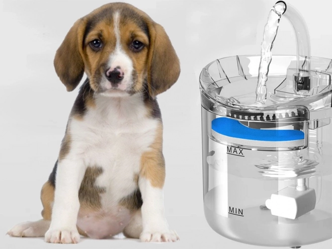 Automatische waterfontein voor katten en honden