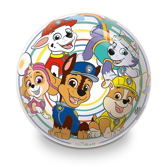 Kleurrijke bal met Paw Patrol thema voor kinderen