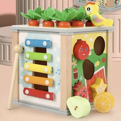 Houten educatieve kubus 5-in-1 voor kinderen