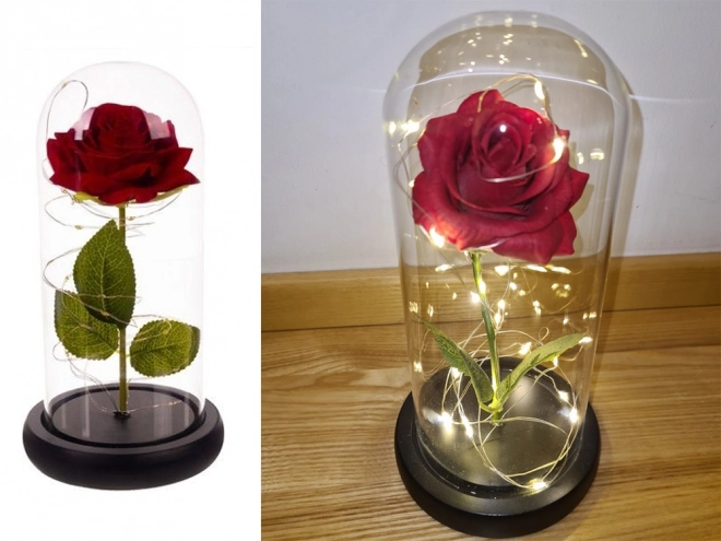 Eeuwige roos in glas met LED-verlichting