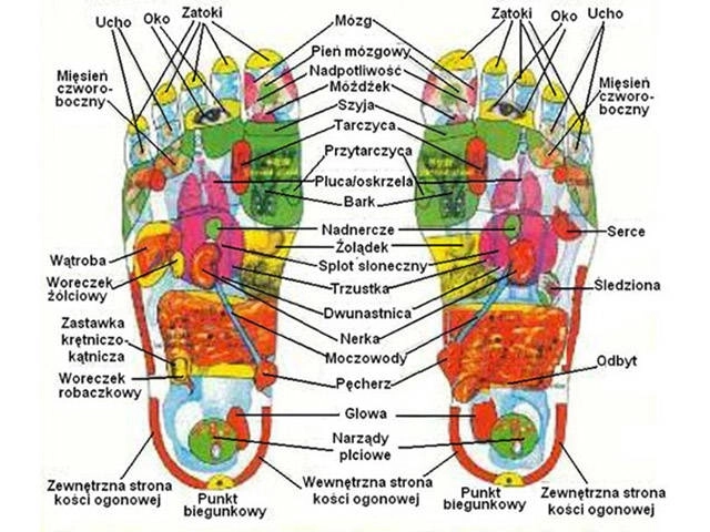 Detox voetenpleisters Kinoki, 10 stuks