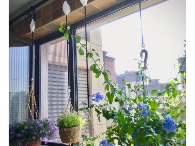 Haak voor planten met telescopische handgreep