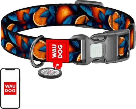 Nylon hondenhalsband WAU DOG Oranges met QR-label, maat L