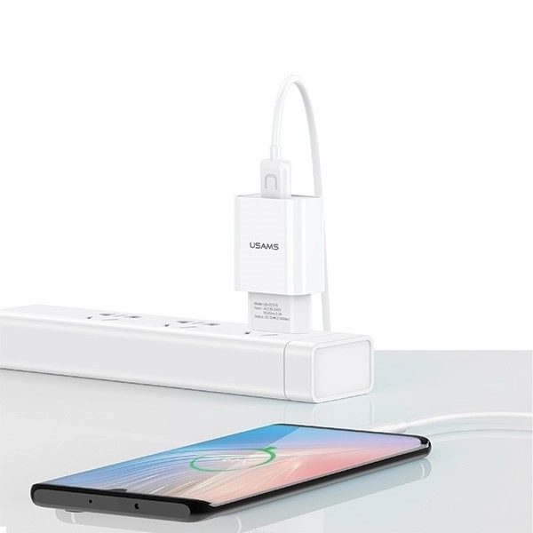 Netvoeding USB-lader met kabel USB-C 2,1A