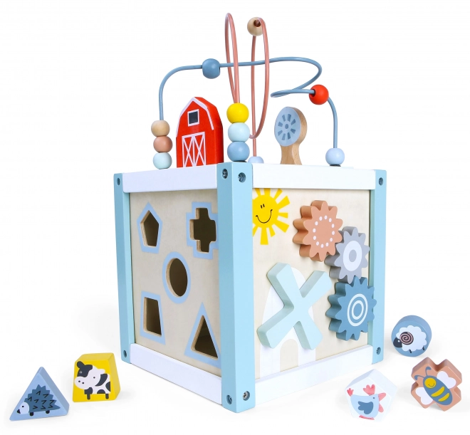 Houten blok sorteerkubus met blokken Ecotoys