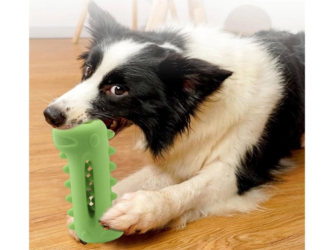 Kauwspeeltje voor het reinigen van tanden voor honden