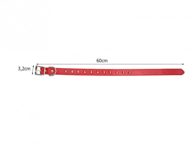 Stijlvolle hondenhalsband met studs