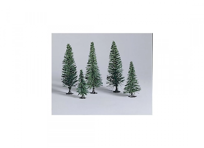 Sparren bomen 10 stuks