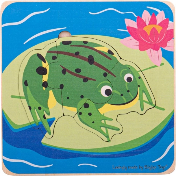 Puzzel voor kinderen levenscyclus van de kikker Bigjigs Toys
