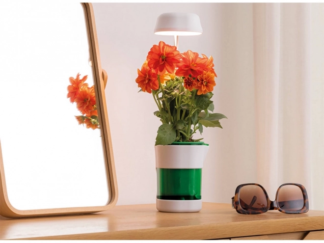 Plantenlamp met volledig spectrum verlichting en zelfbewaterende bloempot