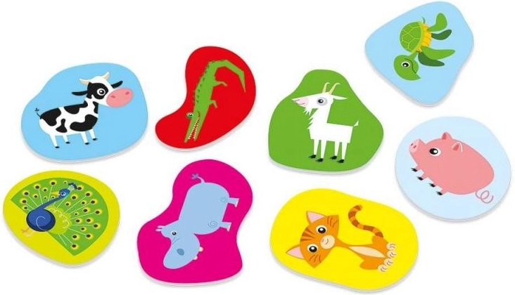 Kleurrijke afbeeldingen die leren