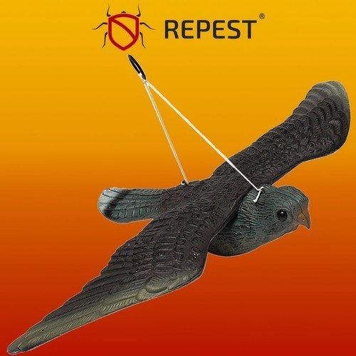 Namaak Slechtvalk - Vogelverschrikker