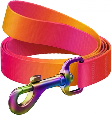 Waudog overgangs nylon hondenriem, oranje