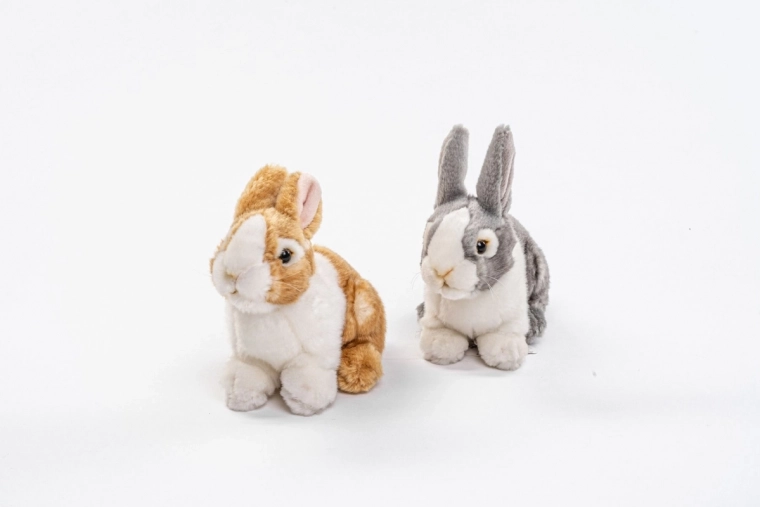 Licht en praktisch voor onderweg