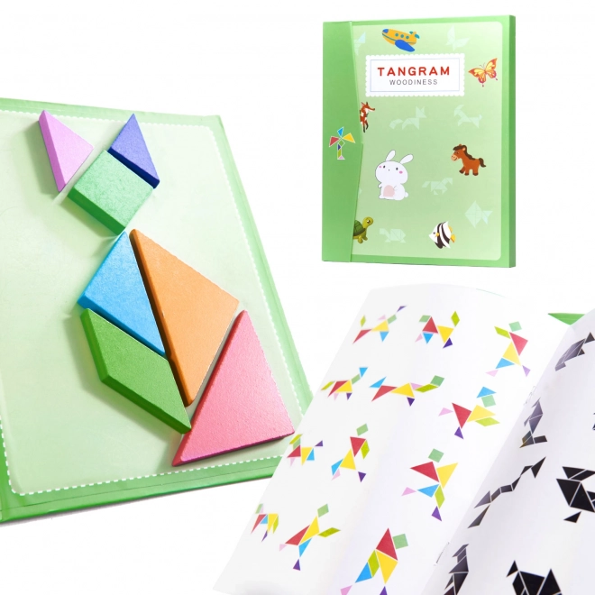 Magnetische puzzel 3D blokken tangram