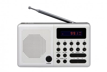 Radio Pliszka USB, FM wit