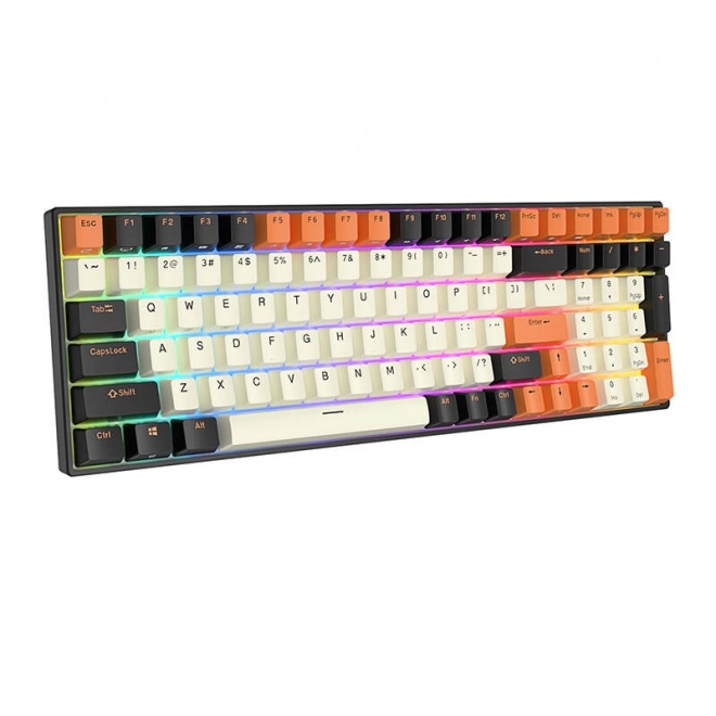 Mechanisch toetsenbord Royal Kludge RK100 RGB bruine switch