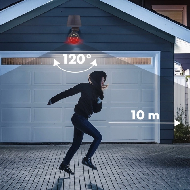 Zonne-attractie camera met knipperende diode en bewegingssensor